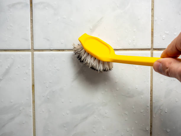 Best Mold Inspection  in Quincy, WA