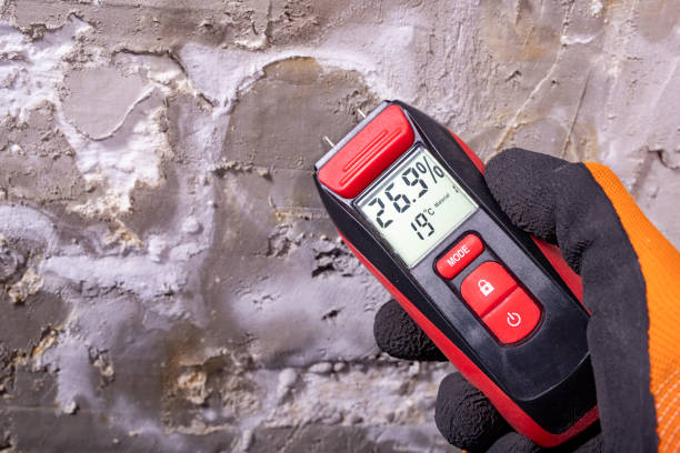 Certified Mold Removal in Quincy, WA