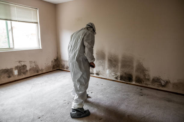 Best Water Damage Restoration  in Quincy, WA
